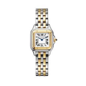 Cartier Panthère Gold/Silver